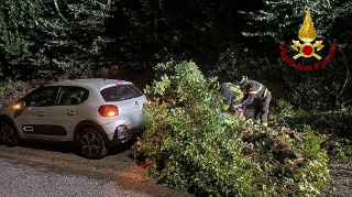 Vento forte e temporali nel Nord delle Marche, 90 interventi dei Vigili del Fuoco in tutta la Regione
